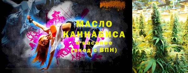 молекула духа Верхний Тагил