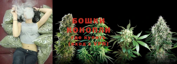 молекула духа Верхний Тагил