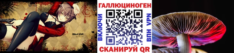 где купить наркотик  Монино  Псилоцибиновые грибы Magic Shrooms 